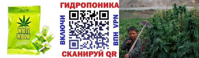Еда ТГК конопля Чекалин