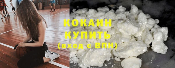 шишки Богородицк