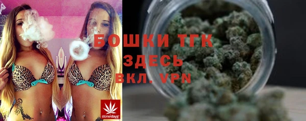 PSILOCYBIN Богданович