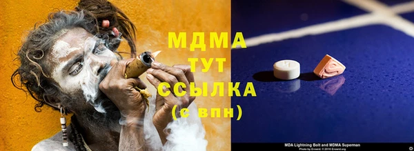 шишки Богородицк