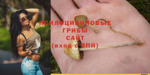 шишки Богородицк