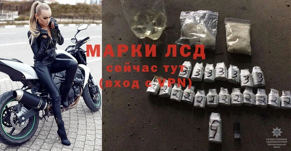 PSILOCYBIN Богданович