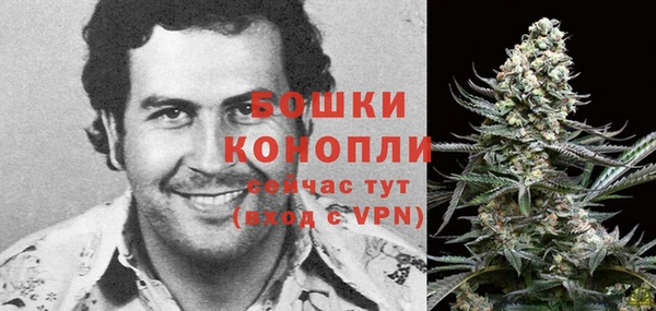 эйфоретик Богородск
