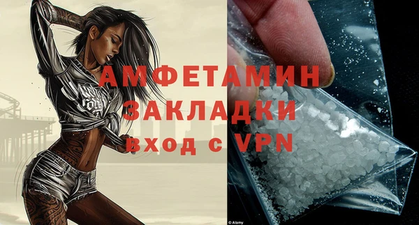 ПСИЛОЦИБИНОВЫЕ ГРИБЫ Строитель