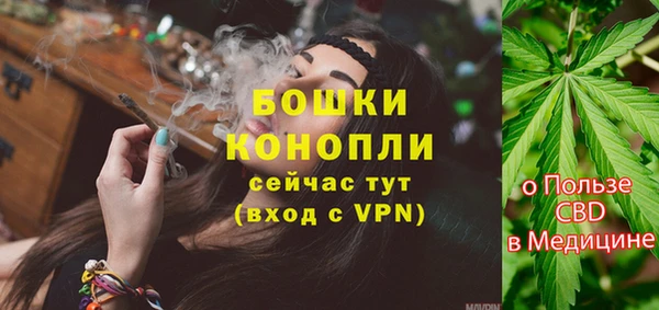 PSILOCYBIN Богданович