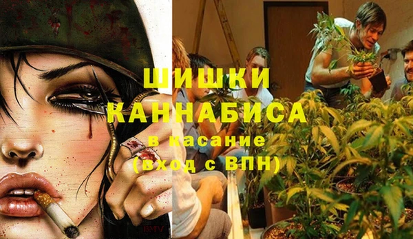 шишки Богородицк