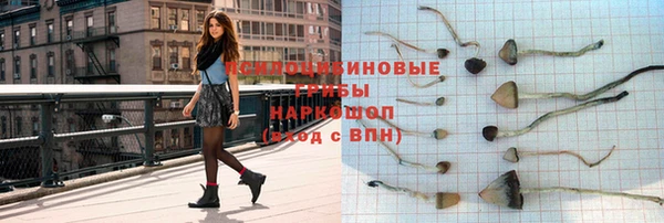эйфоретик Богородск