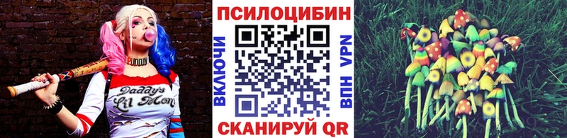 купить наркотик  Чекалин  Псилоцибиновые грибы мицелий 